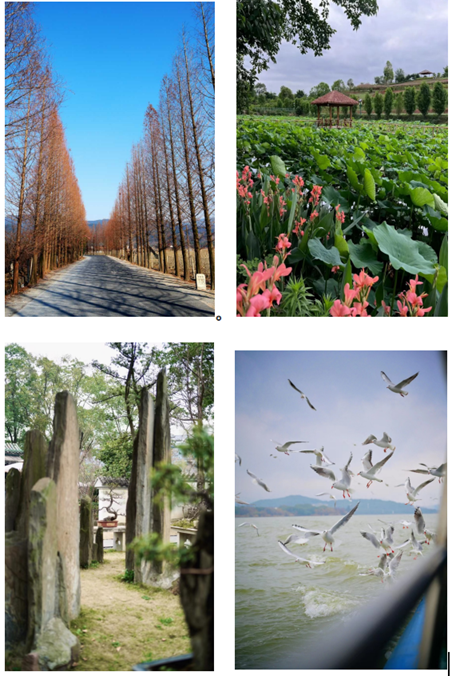 體驗視覺魅力 共赴光影之(zhī)旅 體驗視覺魅力 共赴光影之(zhī)旅